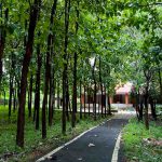 Best resorts in Bandipur exterior view